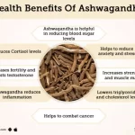 wellhealthorganic.com:benefits-of-ashwagandha-in-hindi